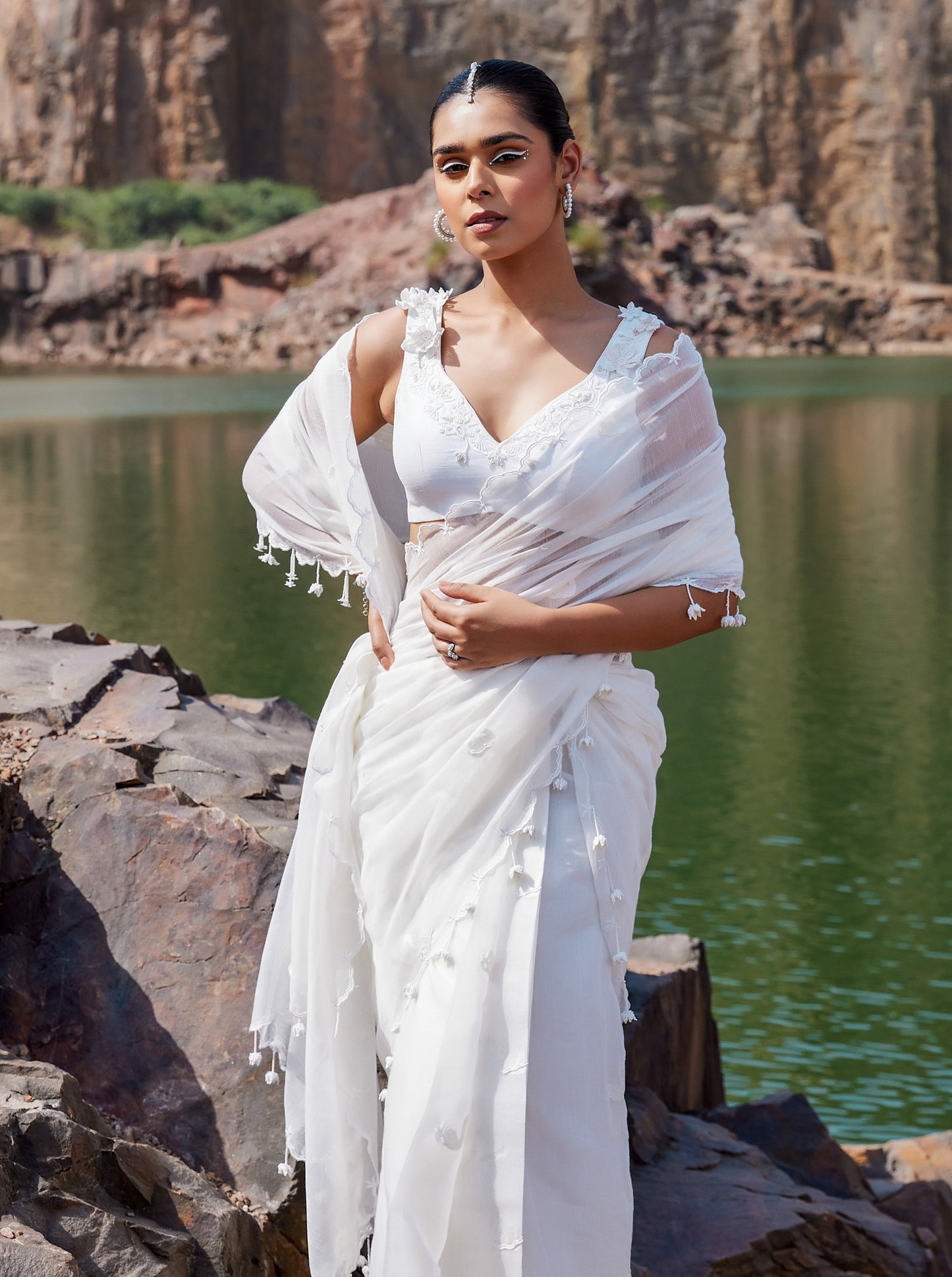Swan saree