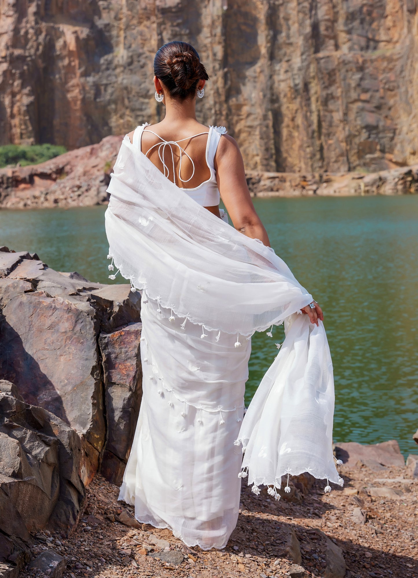 Swan saree