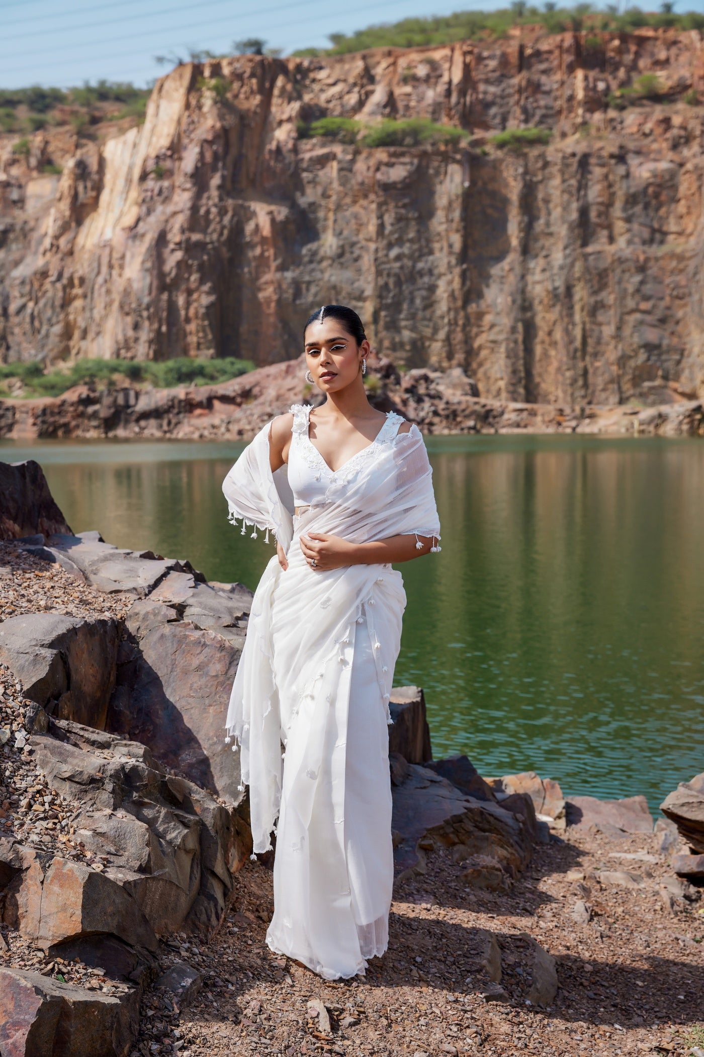 Swan saree