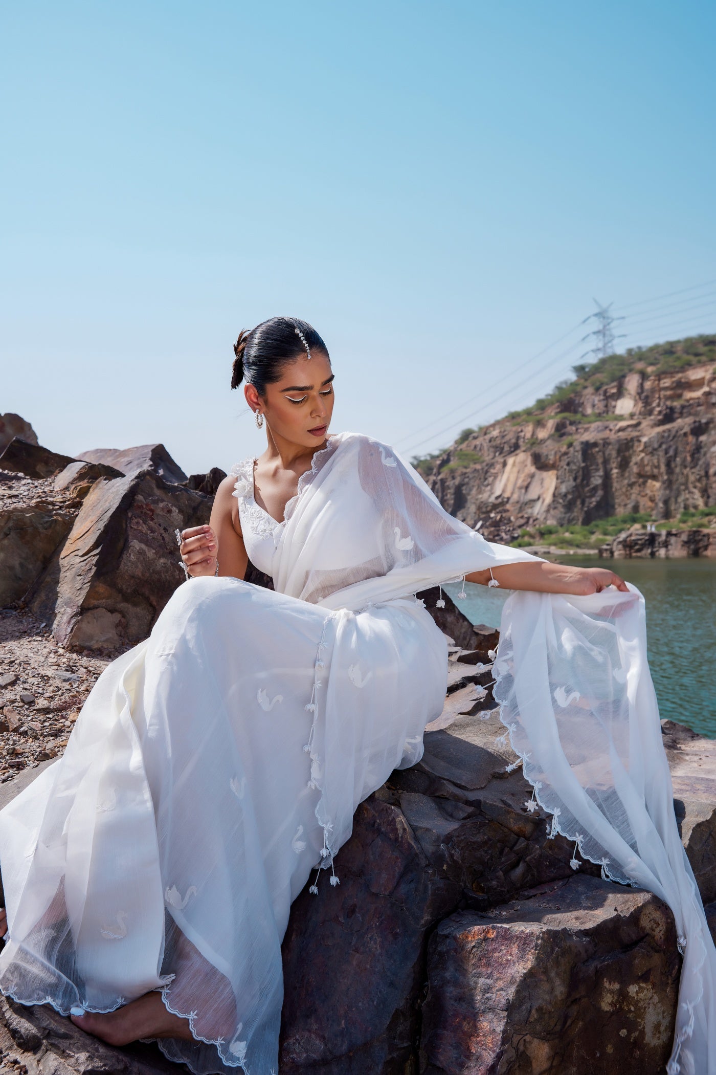 Swan saree