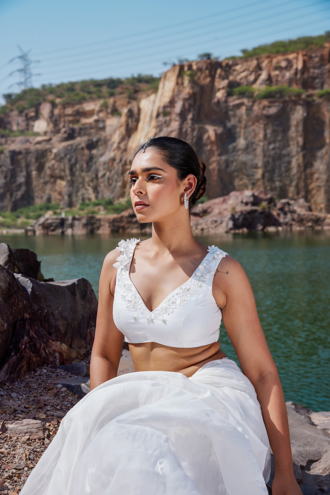 Swan saree