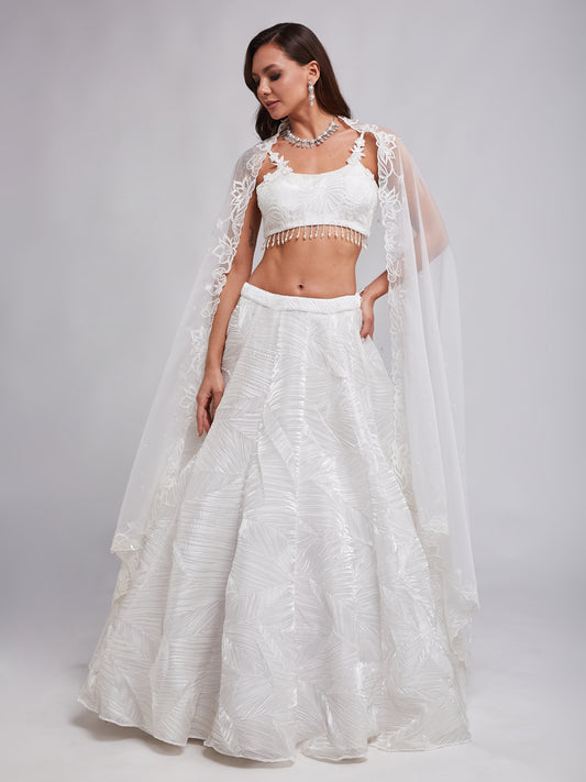 Chandni lehenga set